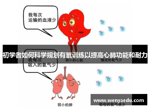 初学者如何科学规划有氧训练以提高心肺功能和耐力